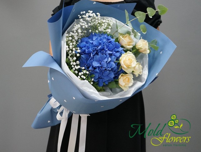 Buchet cu hortensie albastra, trandafiri crem si gypsophila foto